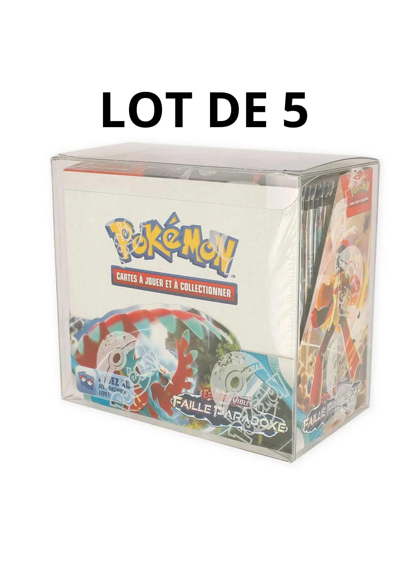 Protection display Phoenix Shield x5